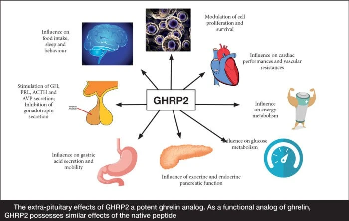 43GHRP-2 peptied A 43GHRP-2 peptied A